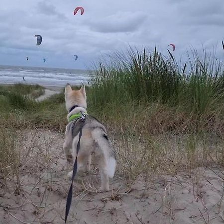 Surfin Villa Koksijde Kültér fotó