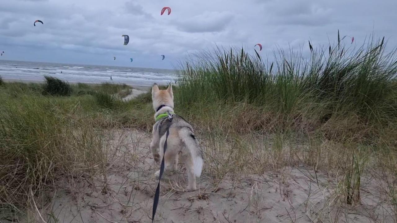 Surfin Villa Koksijde Kültér fotó
